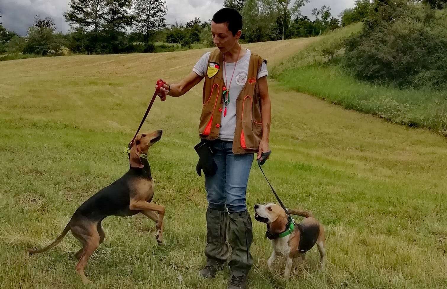 Seminario I Segugi: dialogo sul benessere di un cane da lavoro