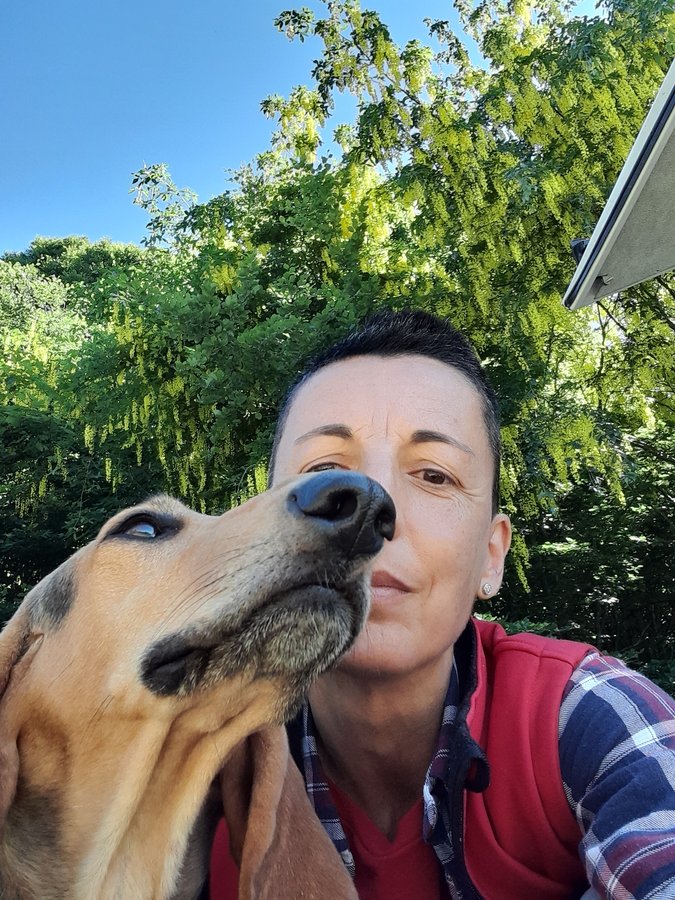 I segugi: una passione che porta lontano