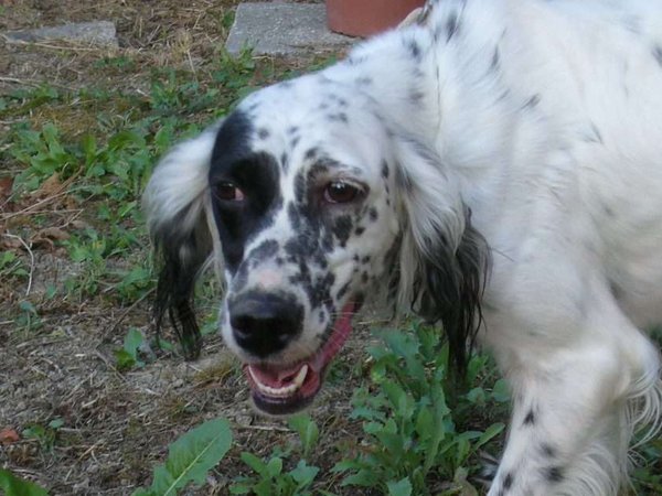 Fobie, paure, timori. E’ bene saper distinguere