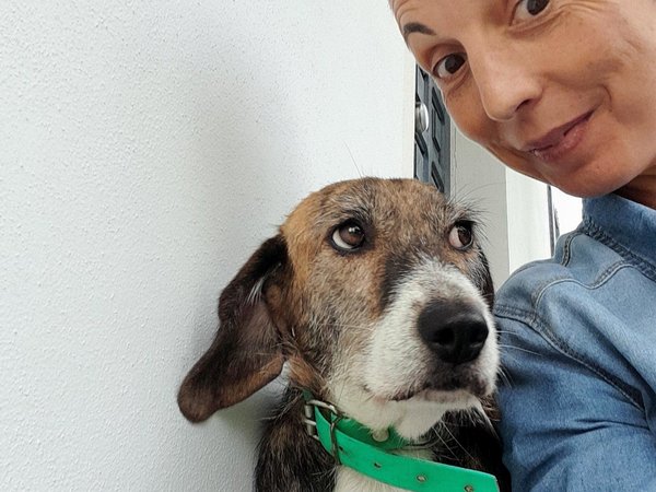 Online il nuovo portale di Valentina Calderoni